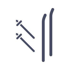 Ski Skiing Snow Skate Skating Iceskating icon