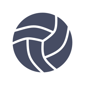 Volleyball Ball Game icon