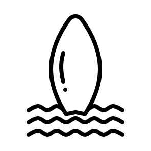 Surf Surfing Board Water Sports Fun Beach icon