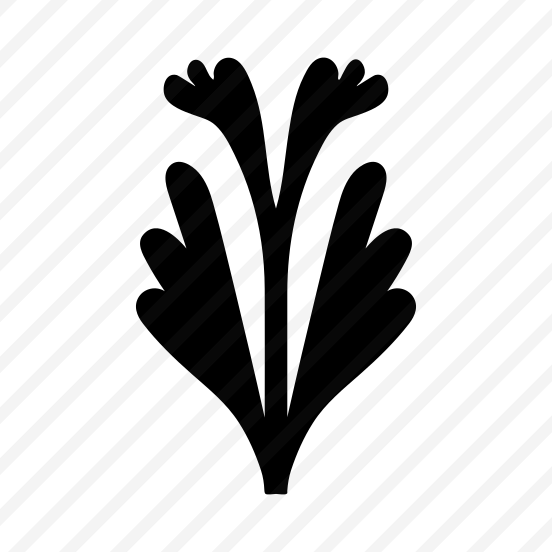 Acanthus Plant, Nature, Plant, Foliage, Botanical preview