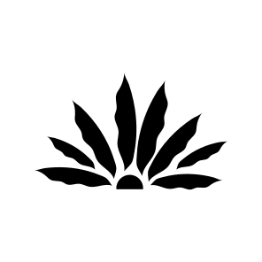 Agave Plant, Botanical, Leafage, Nature, Plant, icon