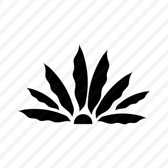 Agave Plant, Botanical, Leafage, Nature, Plant, preview