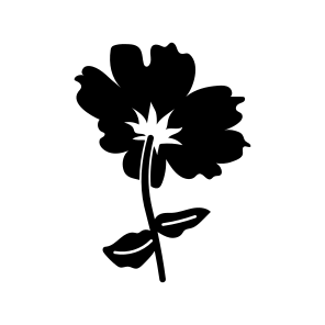 Camellia Flower, Floral, Botanical, Nature, Blooming icon