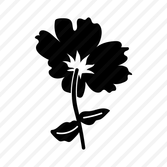 Camellia Flower, Floral, Botanical, Nature, Blooming preview