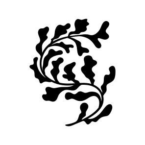Coral Plant, Botanical, Nature, Plant, Foliage icon