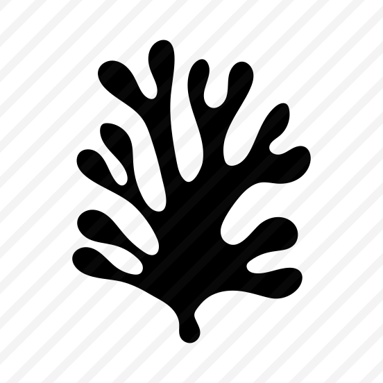 Coral Reef, Botanical, Nature, Plant, Stem preview