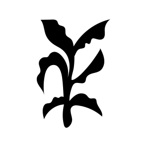 Curve Leaf, Botanical, Nature, Plant, Foliage icon