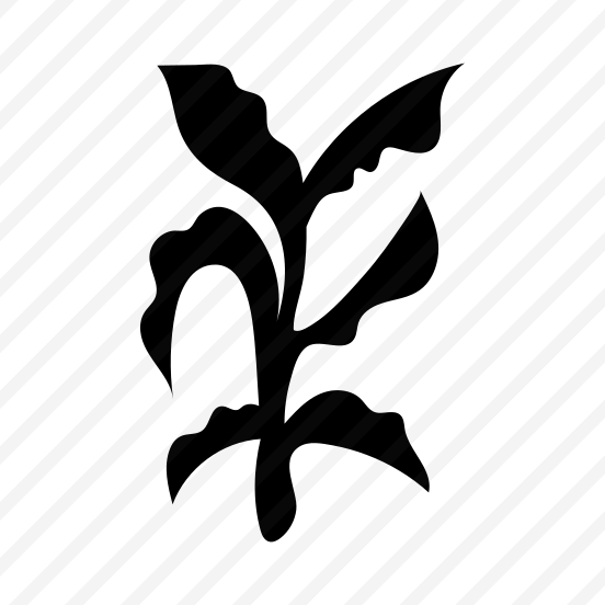 Curve Leaf, Botanical, Nature, Plant, Foliage preview