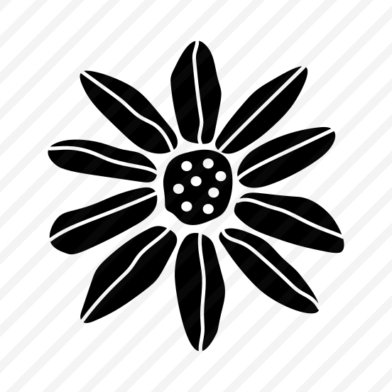 Daisy Flower, Floral, Botanical, Nature, Blooming preview