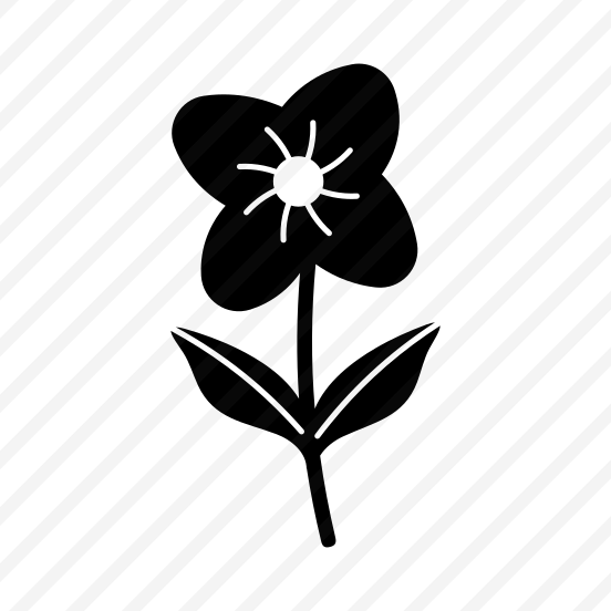 Daisy Flower, Floral, Nature, Plant, Blooming,icons preview