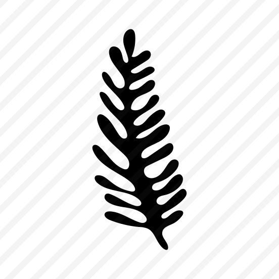 Fern, Botanical, Nature, Plant, Leafage preview