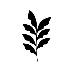 Fern Leaf, Botanical, Nature, Plant, Foliage icon