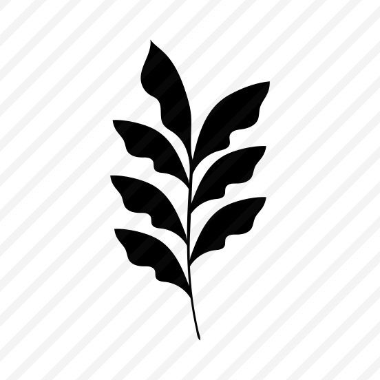 Fern Leaf, Botanical, Nature, Plant, Foliage preview