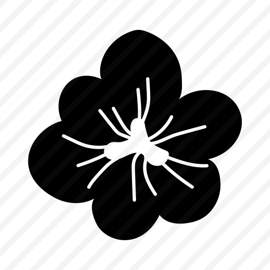 Floral, Blooming, Nature, Plant, Botanical preview