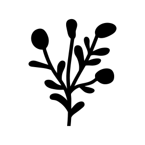 Floral Branch, Nature, Plant, Botanical, Leafage icon