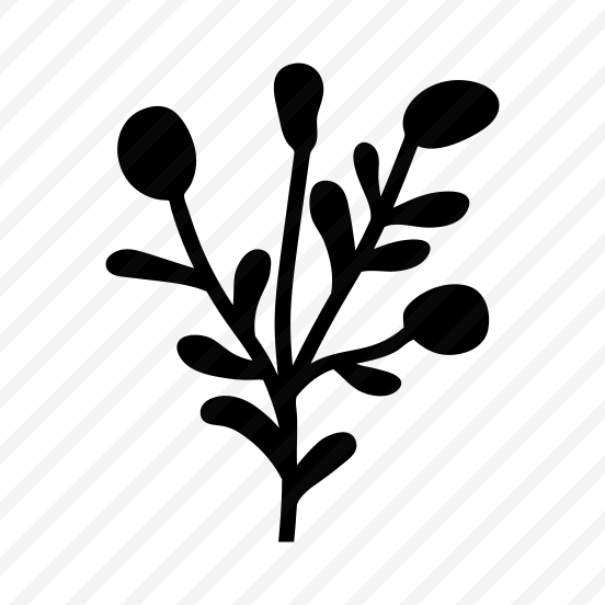 Floral Branch, Nature, Plant, Botanical, Leafage preview