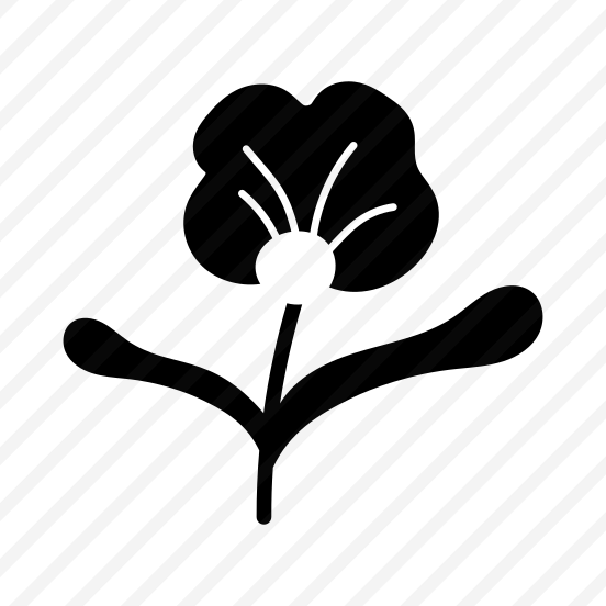 Floral, Nature, Plant, Blooming, Flower preview