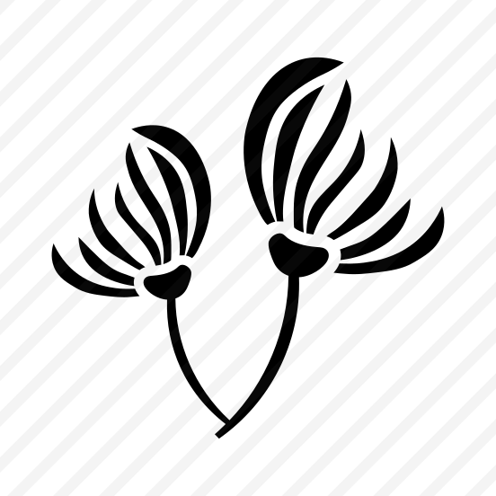 Flower Bloom, Floral, Botanical, Nature, Plant preview