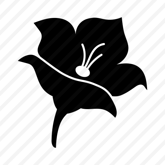 Flower, Floral, Nature, Plant, Blooming preview