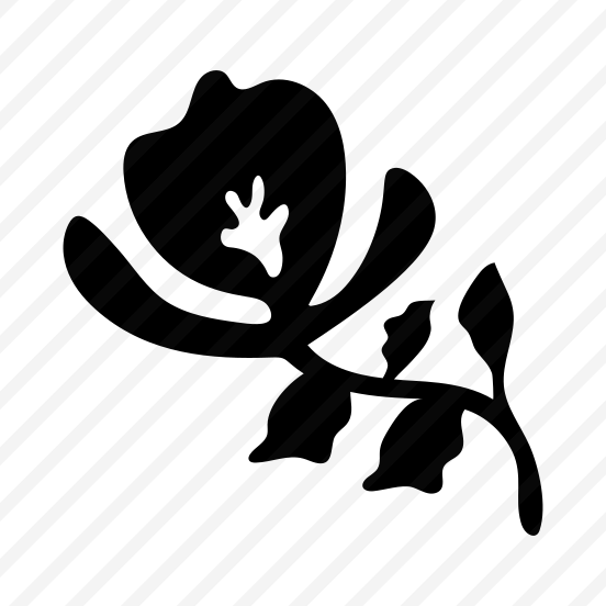 Flower, Floral, Nature, Plant, Botanical preview