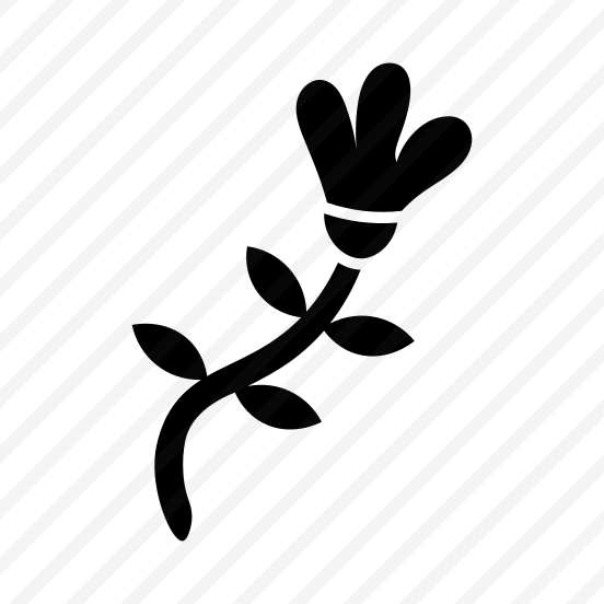 Flower, Floral, Nature, Plant, Botanical,icons preview