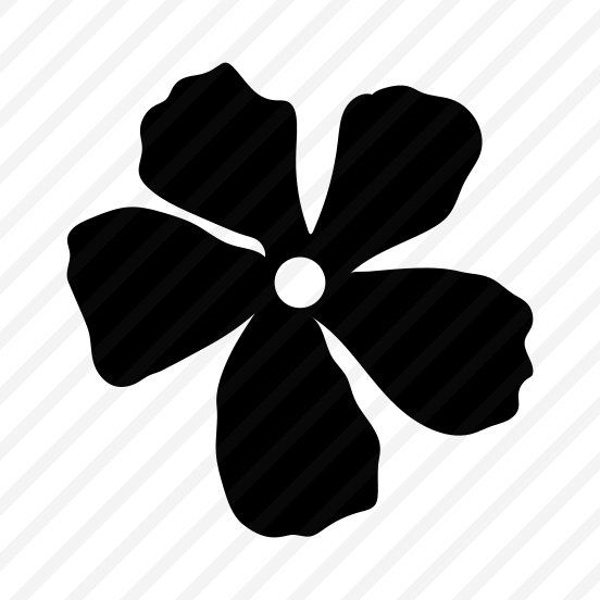 Flower Petal, Blooming, Floral, Nature, Plant, preview