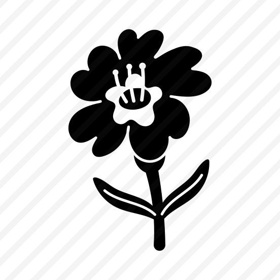 Flower Plant, Floral, Nature, Blooming, Botanical preview