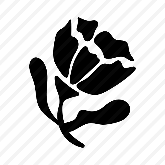 Flower Stem, Floral, Botanical, Nature, Blooming preview