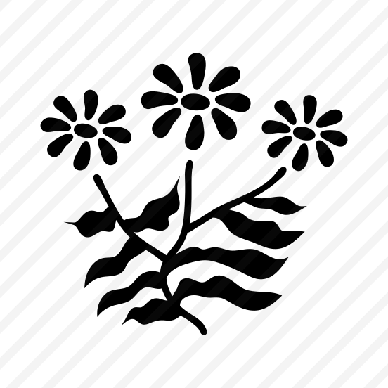 Flowers, Floral, Botanical, Nature, Blooming preview