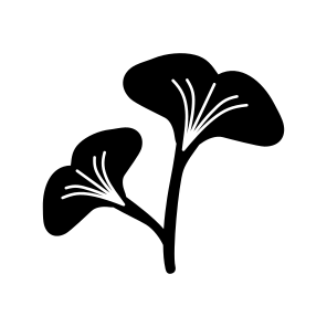 Ginkgo Plant, Nature, Plant, Botanical, Foliage icon