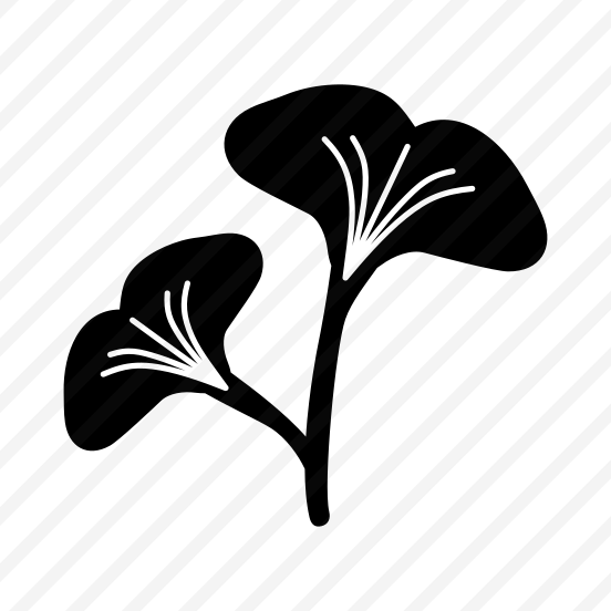 Ginkgo Plant, Nature, Plant, Botanical, Foliage preview