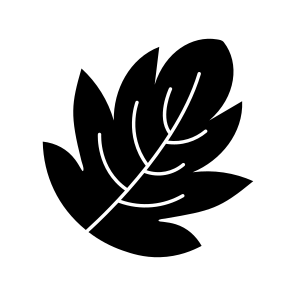 Hawthorn Leaf, Botanical, Nature, Plant, Leafage icon