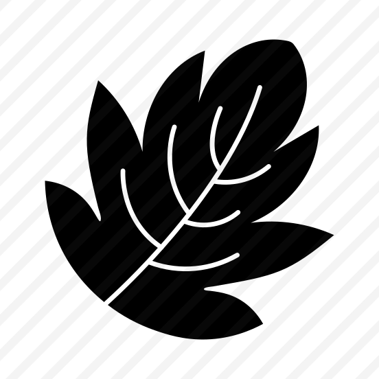 Hawthorn Leaf, Botanical, Nature, Plant, Leafage preview