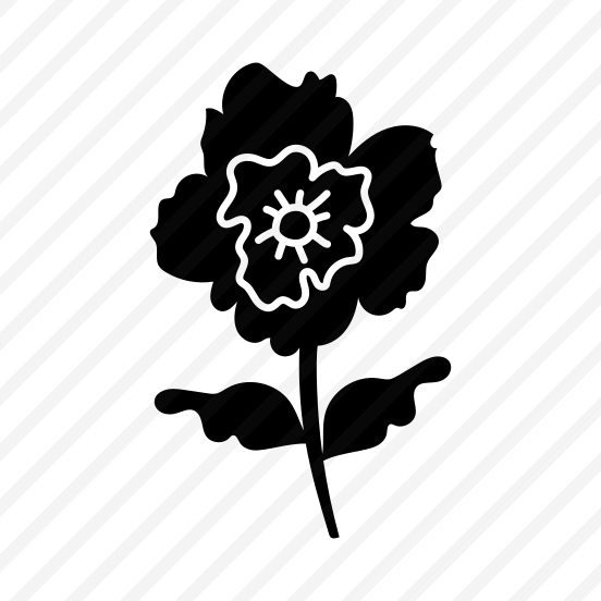 Hibiscus, Floral, Botanical, Nature, Blooming preview