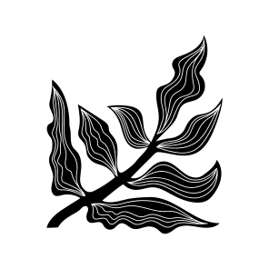 Leaf, Botanical, Nature, Plant, Foliage icon