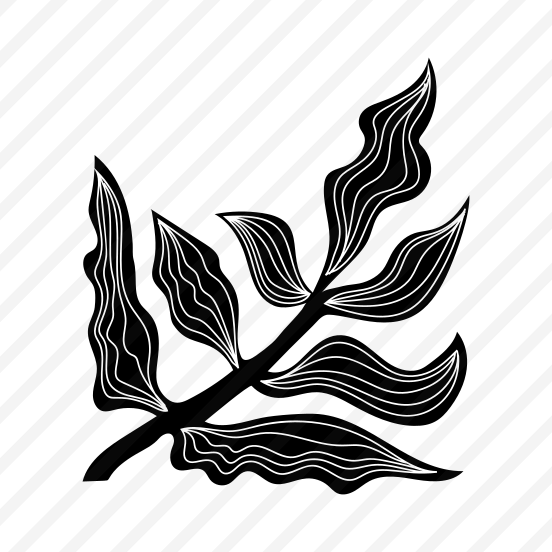 Leaf, Botanical, Nature, Plant, Foliage preview