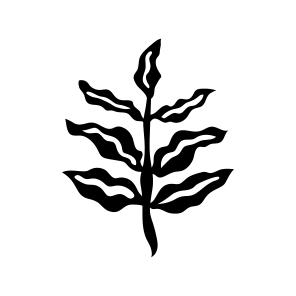 Leaf, Botanical, Nature, Plant, Foliage,icons icon