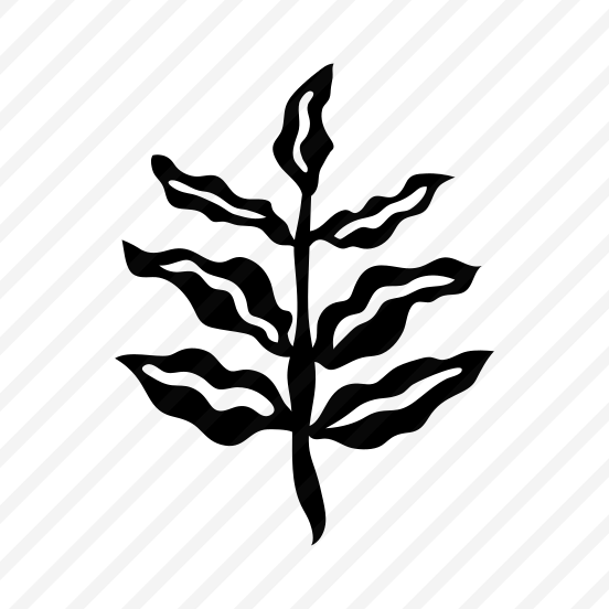 Leaf, Botanical, Nature, Plant, Foliage,icons preview
