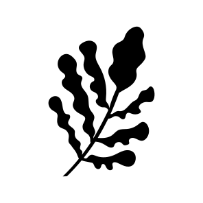 Leaf, Botanical, Nature, Plant, Leafage,icons icon