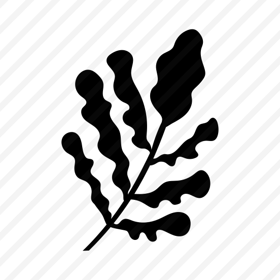 Leaf, Botanical, Nature, Plant, Leafage,icons preview