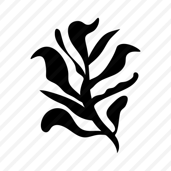 Leaf, Nature, Botanical, Plant, Stem preview