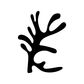 Leaf, Nature, Plant, Botanical, Foliage icon