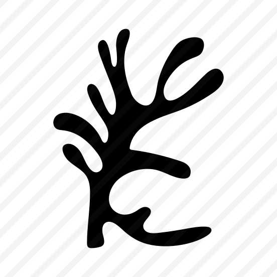 Leaf, Nature, Plant, Botanical, Foliage preview