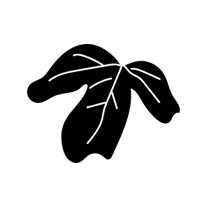 Leaf, Nature, Plant, Leafage, Botanical icon