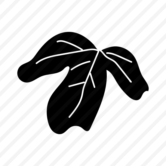 Leaf, Nature, Plant, Leafage, Botanical preview