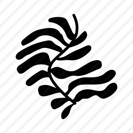 Leaf Stem, Leaves, Nature, Botanical, Plant preview