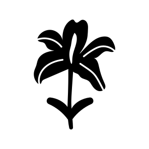 Lily Flower, Floral, Botanical, Nature, Blooming icon