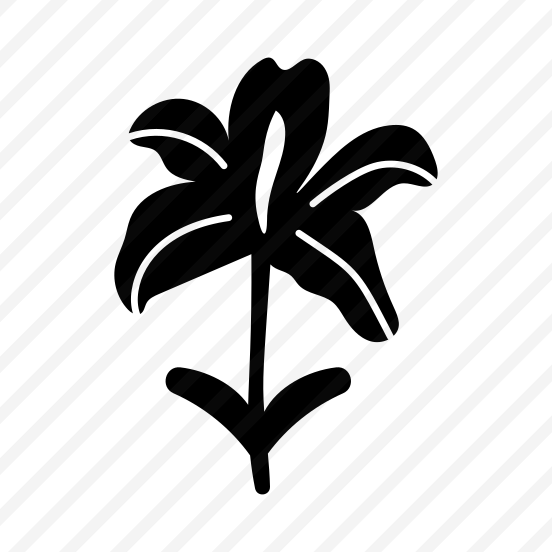 Lily Flower, Floral, Botanical, Nature, Blooming preview