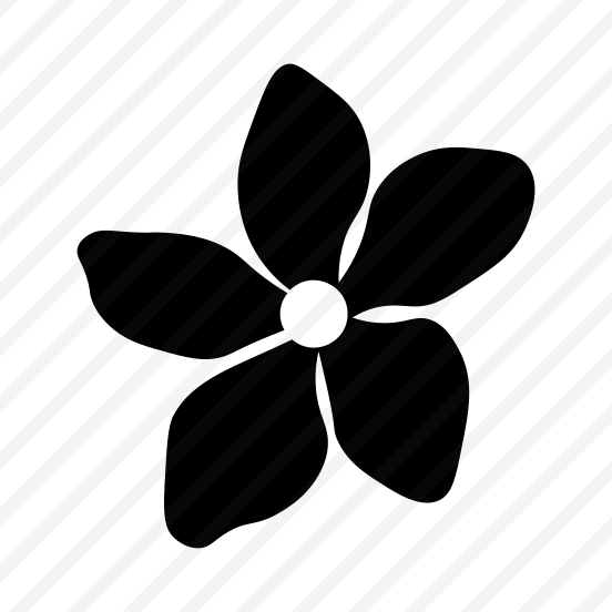 Lily Flower, Floral, Nature, Plant, Blooming preview