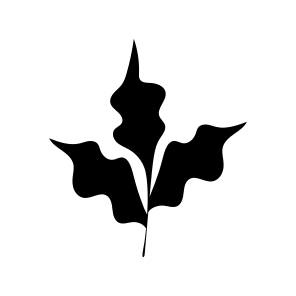 Maple Leaf, Botanical, Nature, Plant, Foliage icon